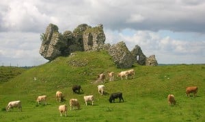 Croix-celtique-clonmacnoise-monastère-château