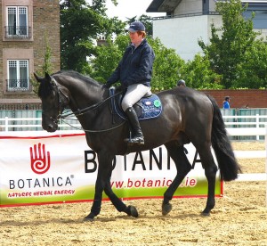 irlande-cheval-hunter-irlandais