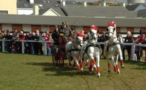 Connemara - Poney - Show - festival - photo - char - clifden - fête - tourisme - irlande - Galway - visite